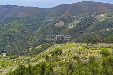 Farm i Sabrosa, Vila Real, Sabrosa - € 355.000 | Ref: ZMPT589429 - foto 14