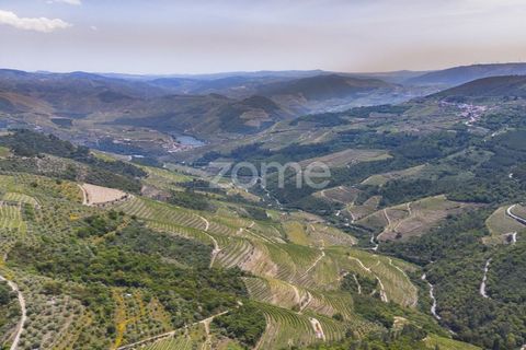 Farm i Sabrosa, Vila Real, Sabrosa - € 355.000 | Ref: ZMPT589429 - foto 17