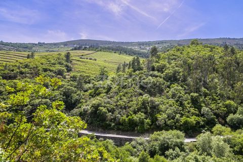 Farm i Sabrosa, Vila Real, Sabrosa - € 355.000 | Ref: ZMPT589429 - foto 18