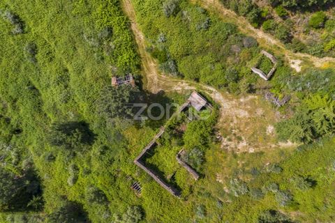 Farm i Sabrosa, Vila Real, Sabrosa - € 355.000 | Ref: ZMPT589429 - foto 8