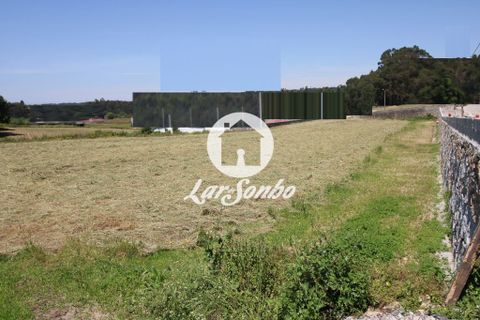 Helårsgrund i Vila do Conde, Porto, Vila do Conde - € 95.000 | Ref: 240-T-26276 - foto 7