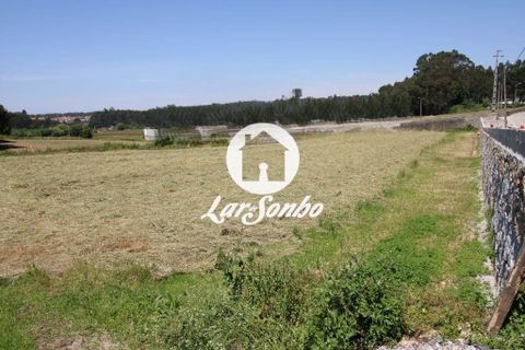 Helårsgrund i Vila do Conde, Porto, Vila do Conde - € 95.000 | Ref: 240-T-26276 - foto 10