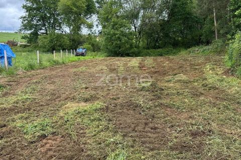 Terra a Cristelo, Braga, Cristelo - € 24.500 | Ref: ZMPT589379 - foto 6