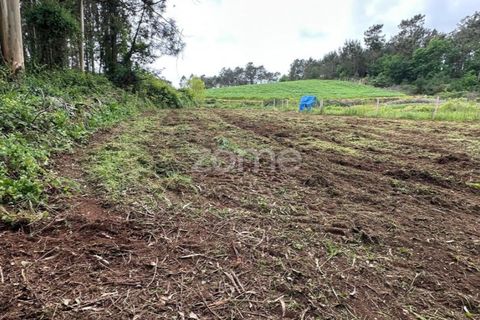 Terra a Cristelo, Braga, Cristelo - € 24.500 | Ref: ZMPT589379 - foto 7