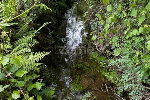 Terra a Cristelo, Braga, Cristelo - € 24.500 | Ref: ZMPT589379 - foto 8