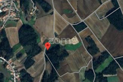 Terra a Cristelo, Braga, Cristelo - € 24.500 | Ref: ZMPT589379 - foto 10