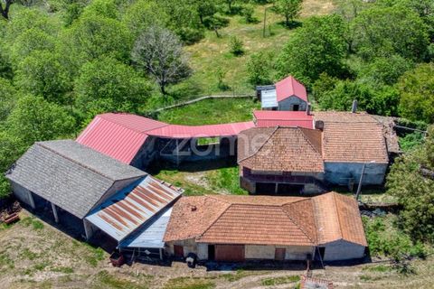 Villa a Valpacos, Vila Real, Valpacos - € 94.500 | Ref: ZMPT589026 - foto 10