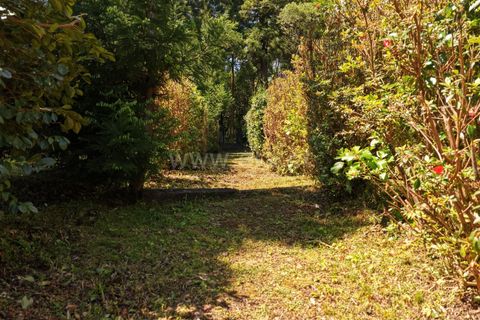 Villa a Horta, Faial, Horta - € 80.000 | Ref: 374260109 - foto 5