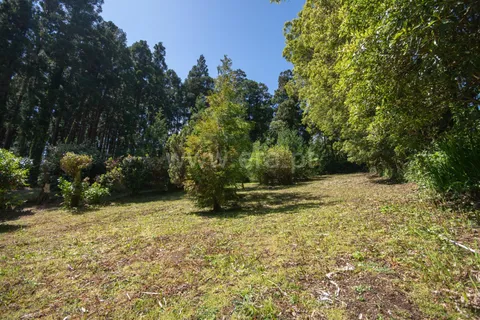 Villa a Horta, Faial, Horta - € 80.000 | Ref: 374260109 - foto 11