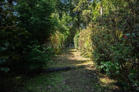Villa a Horta, Faial, Horta - € 80.000 | Ref: 374260109 - foto 14