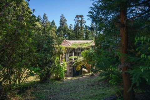 Villa a Horta, Faial, Horta - € 80.000 | Ref: 374260109 - foto 15