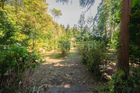 Villa a Horta, Faial, Horta - € 80.000 | Ref: 374260109 - foto 17