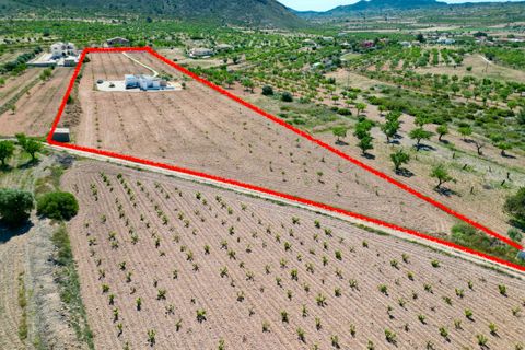 Villa a Barbarroja, Alicante, Barbarroja - € 499.950 | Ref: HVH-IBIZABBR - foto 2