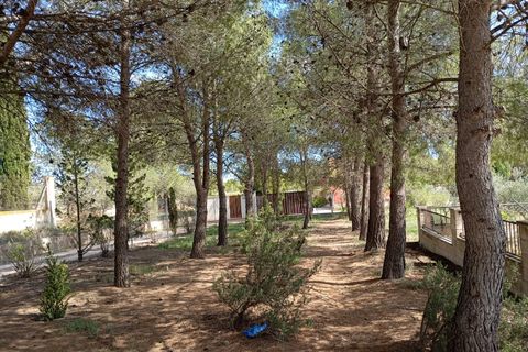 Villa i Yecla, Murcia, Yecla - € 299.900 | Ref: 94183 - foto 18