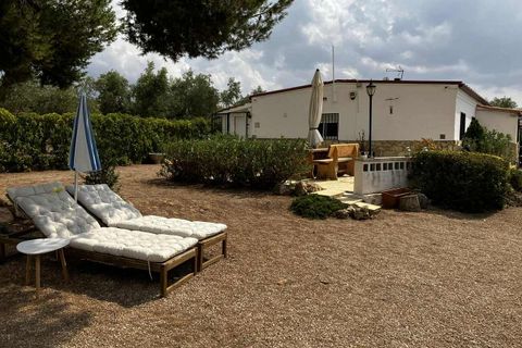 Villa a Biar, Alicante, Biar - € 239.000 | Ref: 55884 - foto 3