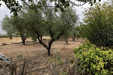 Villa a Biar, Alicante, Biar - € 239.000 | Ref: 55884 - foto 44