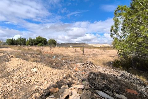 Landejendom i Yecla, Murcia, Yecla - € 195.000 | Ref: 47461 - foto 6