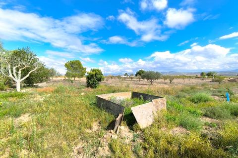 Landejendom i Yecla, Murcia, Yecla - € 195.000 | Ref: 47461 - foto 15