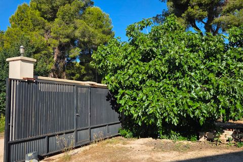 Landejendom i Yecla, Murcia, Yecla - € 126.000 | Ref: CAR-001 - foto 5