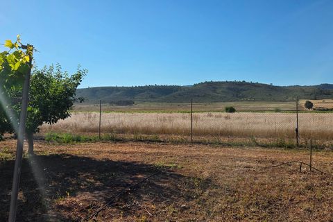 Landejendom i Yecla, Murcia, Yecla - € 126.000 | Ref: CAR-001 - foto 22