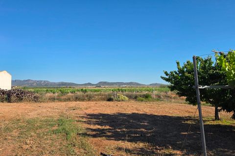 Landejendom i Yecla, Murcia, Yecla - € 126.000 | Ref: CAR-001 - foto 23