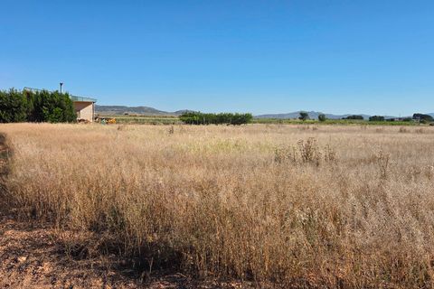 Landejendom i Yecla, Murcia, Yecla - € 126.000 | Ref: CAR-001 - foto 27