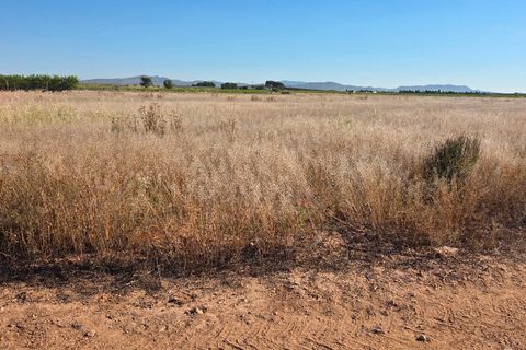 Landejendom i Yecla, Murcia, Yecla - € 126.000 | Ref: CAR-001 - foto 28