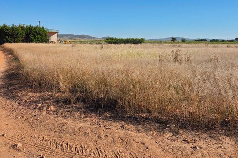 Landejendom i Yecla, Murcia, Yecla - € 126.000 | Ref: CAR-001 - foto 29