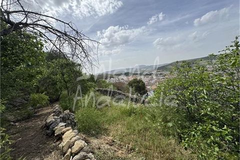 Byhus i Alcala La Real, Jaen, Alcala La Real - € 30.000 | Ref: TH6344 - foto 11