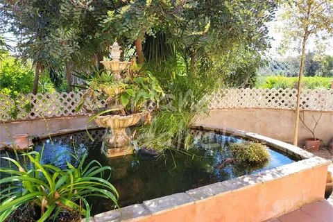 Cortijo i Isla Redonda, Sevilla, Isla Redonda - € 300.000 | Ref: CJ942 - foto 2
