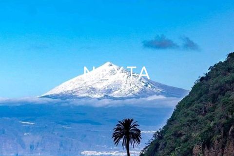Villa i Playa Paraiso, Tenerife, Playa Paraiso - € 2.800.000 | Ref: 1159 - foto 15
