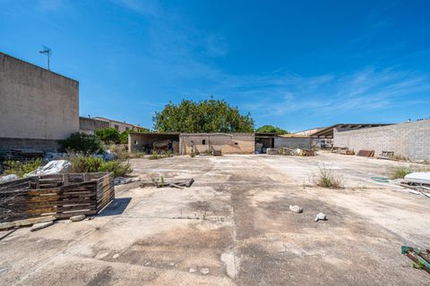Terra a Muro, Mallorca, Muro - € 349.900 | Ref: 04DLAM008/3010 - foto 2