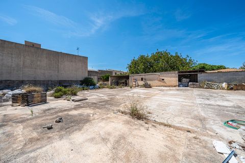 Terra a Muro, Mallorca, Muro - € 349.900 | Ref: 04DLAM008/3010 - foto 5