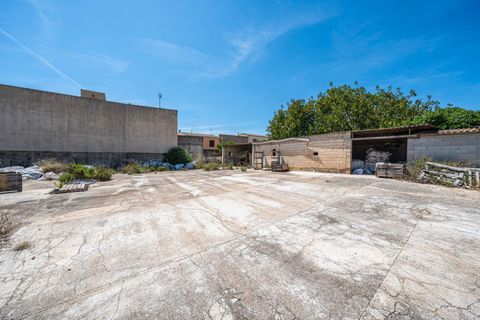Terra a Muro, Mallorca, Muro - € 349.900 | Ref: 04DLAM008/3010 - foto 6