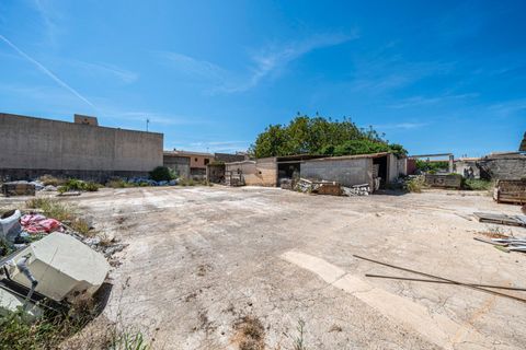 Terra a Muro, Mallorca, Muro - € 349.900 | Ref: 04DLAM008/3010 - foto 8