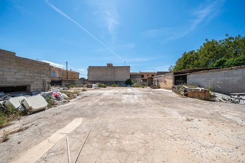 Terra a Muro, Mallorca, Muro - € 349.900 | Ref: 04DLAM008/3010 - foto 10
