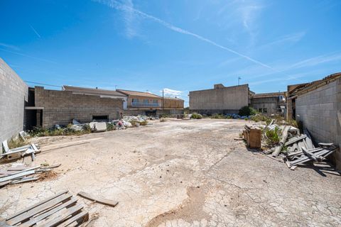 Terra a Muro, Mallorca, Muro - € 349.900 | Ref: 04DLAM008/3010 - foto 11