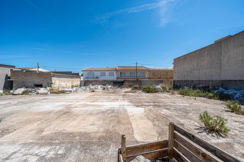 Terra a Muro, Mallorca, Muro - € 349.900 | Ref: 04DLAM008/3010 - foto 12