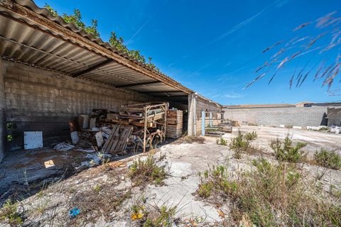 Terra a Muro, Mallorca, Muro - € 349.900 | Ref: 04DLAM008/3010 - foto 13