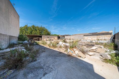 Terra a Muro, Mallorca, Muro - € 349.900 | Ref: 04DLAM008/3010 - foto 15