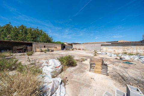 Terra a Muro, Mallorca, Muro - € 349.900 | Ref: 04DLAM008/3010 - foto 16