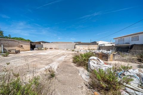 Terra a Muro, Mallorca, Muro - € 349.900 | Ref: 04DLAM008/3010 - foto 17