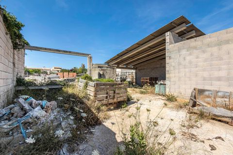 Terra a Muro, Mallorca, Muro - € 349.900 | Ref: 04DLAM008/3010 - foto 19