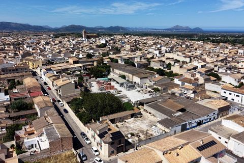 Terra a Muro, Mallorca, Muro - € 349.900 | Ref: 04DLAM008/3010 - foto 20