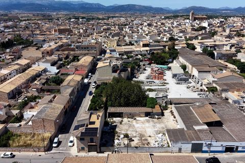Terra a Muro, Mallorca, Muro - € 349.900 | Ref: 04DLAM008/3010 - foto 21