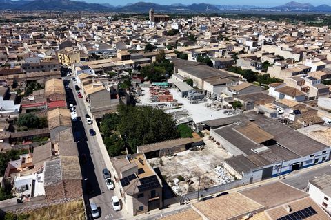Terra a Muro, Mallorca, Muro - € 349.900 | Ref: 04DLAM008/3010 - foto 22