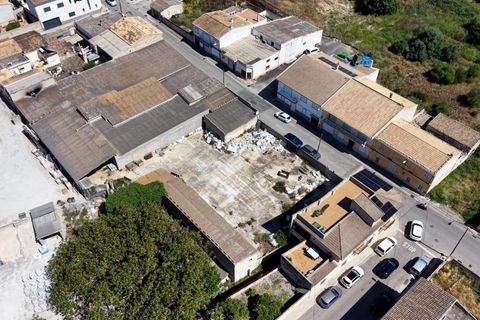 Terra a Muro, Mallorca, Muro - € 349.900 | Ref: 04DLAM008/3010 - foto 25