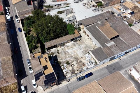 Terra a Muro, Mallorca, Muro - € 349.900 | Ref: 04DLAM008/3010 - foto 26