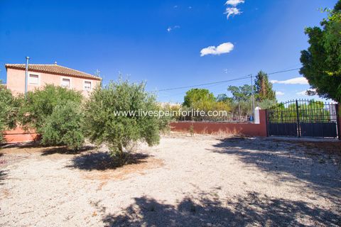 Landejendom i Albatera, Alicante, Albatera - € 280.000 | Ref: Alba EN - foto 29