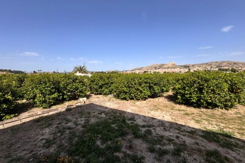 Helårsgrund i Mula, Murcia, Mula - € 300.000 | Ref: 2601 - foto 1